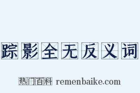 踪影全无反义词是什么意思的图片